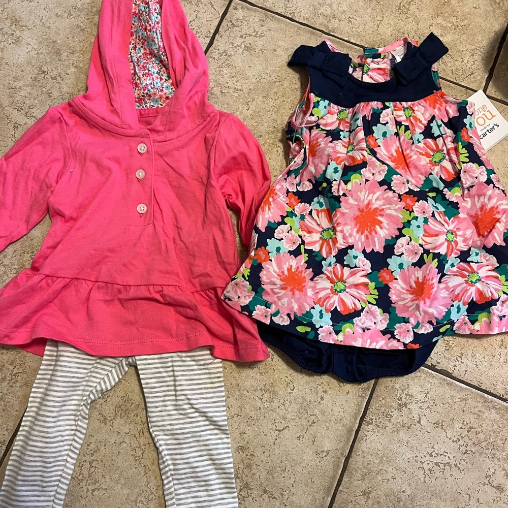 NWT Carter's Spring Sets 3m - Pink & Navy Floral Dress Set and peplum sweatshirt